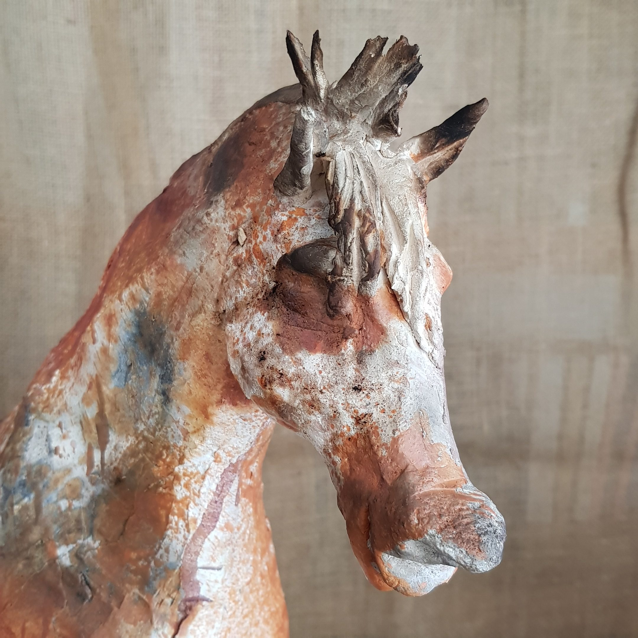 tete cheval